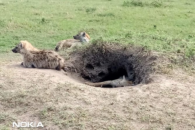 Maasai Mara Game Reserve - Comfort, Safety, and the Feel of a Private Safari