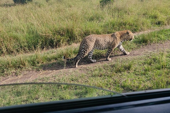 Maasai Mara Safari!! - Nairobi to Maasai Mara Via the Great Rift Valley and Narok