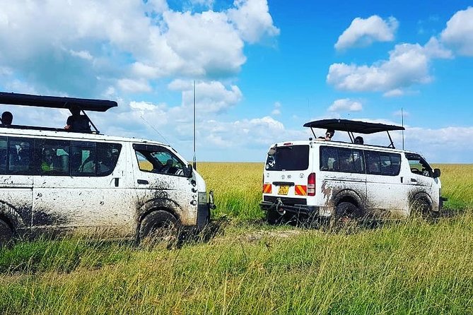 Maasai Mara Safari!! - Day 3 Morning Reset, Then Either Maasai Culture or Back to Nairobi
