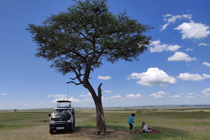 Maasai Mara Safari!! - Price and What Makes $543.59 Feel Reasonable