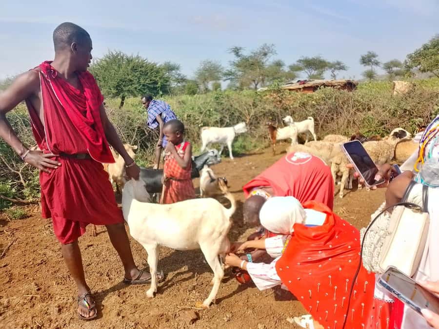 Maasai Village: Cultural Experience of The Maasai Tradition - The Welcome Jumping Dance and Warrior Songs