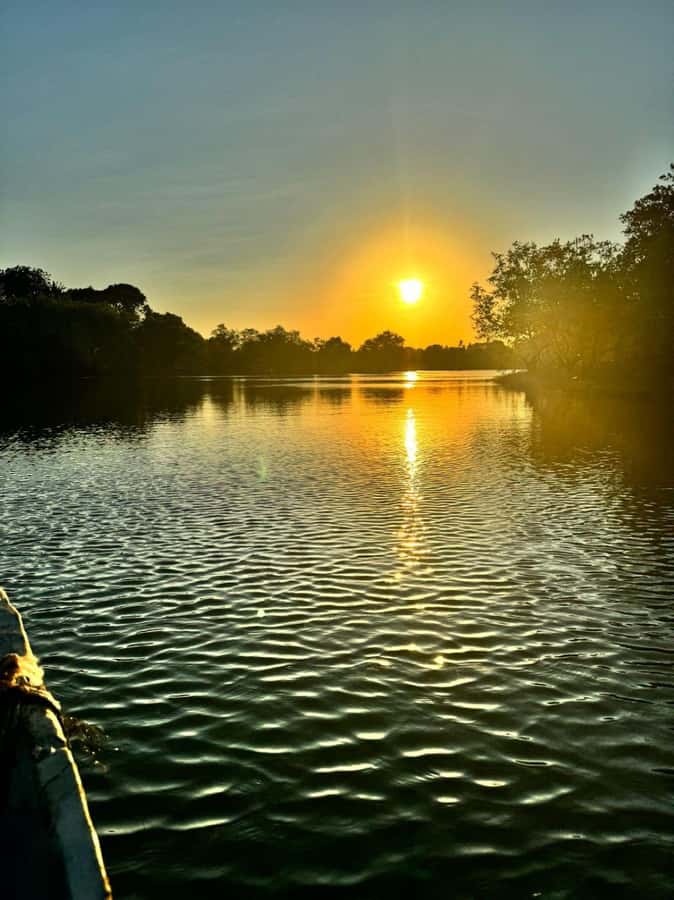 mangrove tour - Key highlights worth your attention