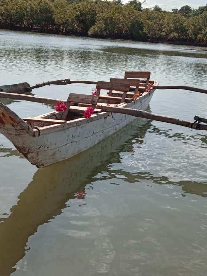 mangrove tour - Mangroves on both sides: serene scenery with practical wildlife value