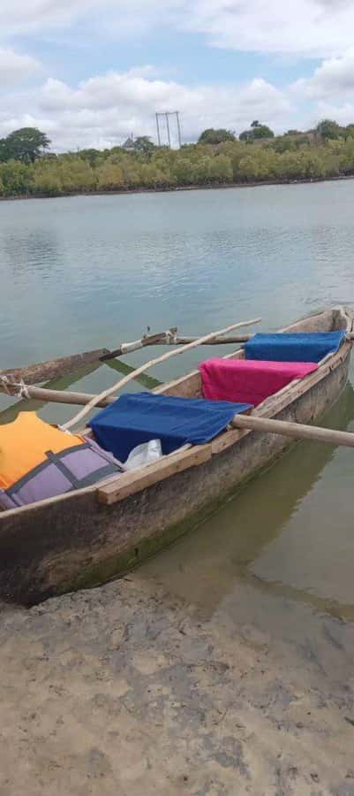 mangrove tour - The possible downsides I would plan around