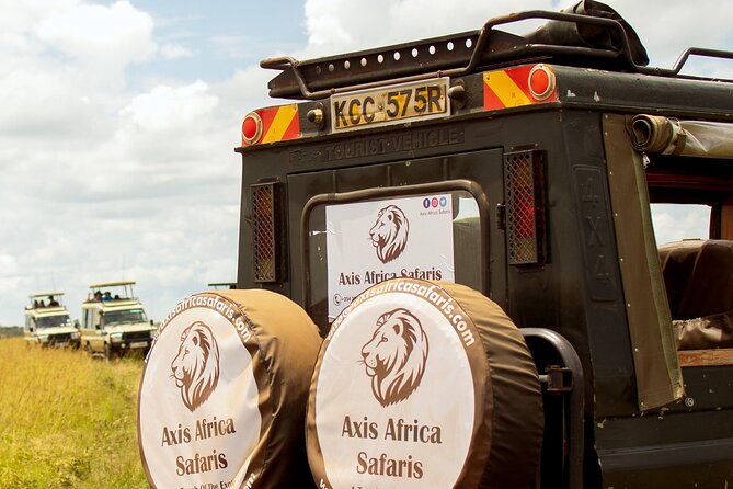 Masai Mara 3 Days Tour Safari Private 4WD Landcruiser - Day 2 full-day safari: Mara River, boundary country, and picnic lunch strategy