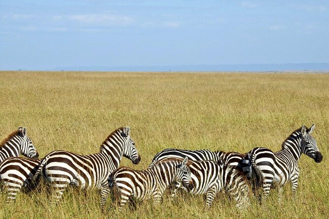 Masai Mara 3Days Safari Adventure - Day Three Return to Nairobi: Mt. Longonot and Optional Add-Ons