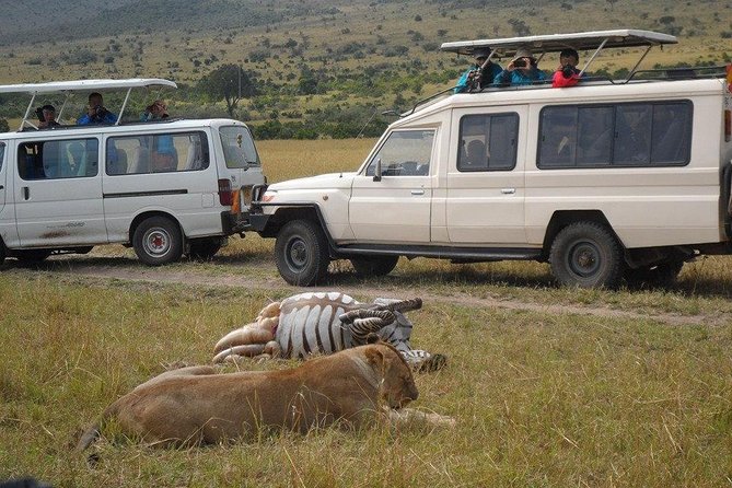 Masai Mara Budget 2 nights tented camp road Safari - Key highlights you will feel on this safari