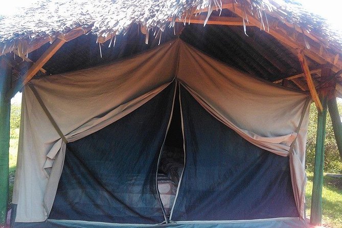 Masai Mara Budget 2 nights tented camp road Safari - Who this safari suits best (and who should look elsewhere)
