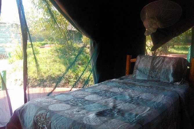 Masai Mara Budget 2 nights tented camp road Safari - The 4:00 pm game drive: your first taste of the Mara