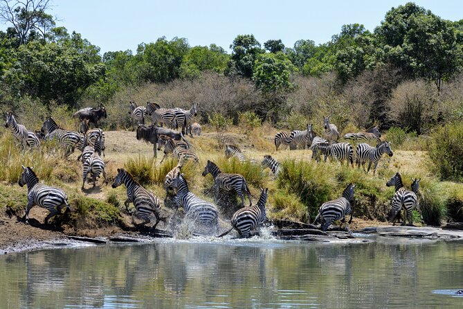 Masai Mara classic safari with optional Masai Village - Maasai Mara at 7:00am, When the Grassland Starts Moving