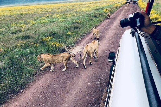 Masai Mara classic safari with optional Masai Village - Optional Masai Village: Cultural Time, Extra Fee