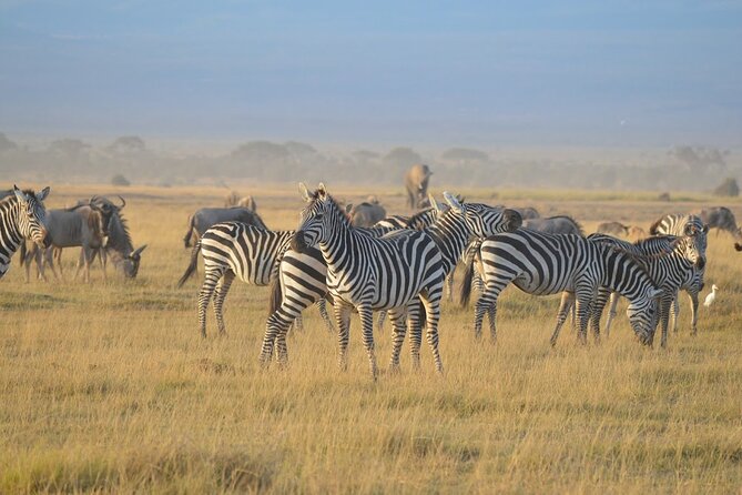Masai Mara classic safari with optional Masai Village - Optional Hot Air Balloon: When You Want Another Kind of View