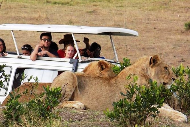 Masai Mara Game Reserve Safari Tour, 4 Days 3 Nights - Food, water, and the small comforts that matter