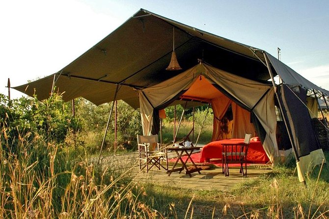 Masai Mara Game Reserve Safari Tour, 4 Days 3 Nights - Day 2: the full Mara day, with picnic lunches and Big Five odds