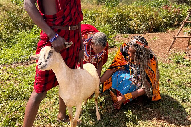 Masai village Cultural afternoon Experience - Timing From Nairobi: The 12:00 PM Start and the 5 to 6 Hour Reality