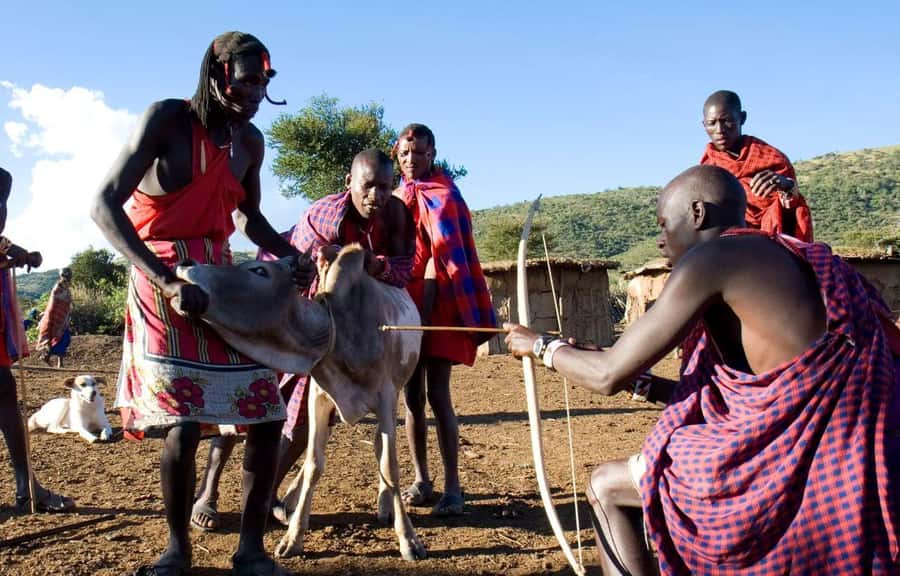 Masai Village Cultural Day Tour from Nairobi - Lunch and the long break around Kajiado County