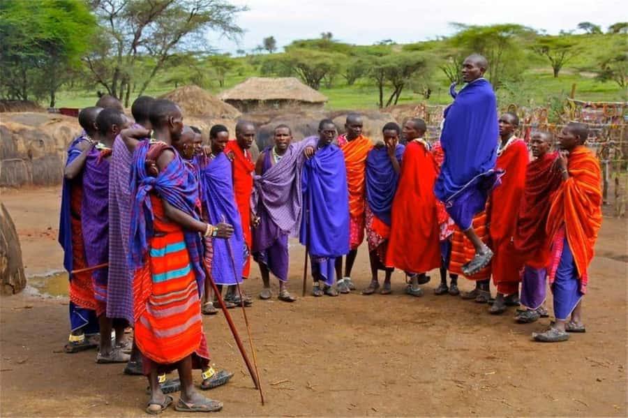 Masai Village Cultural Day Tour from Nairobi - Should you book this Masai village day tour?