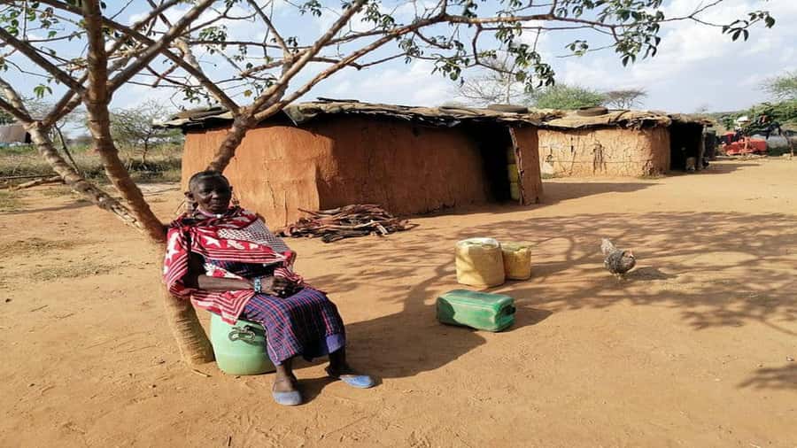 Masai Village Experience (Day trip) - The Guides You Can Rely On: Alex and Alfred’s Role