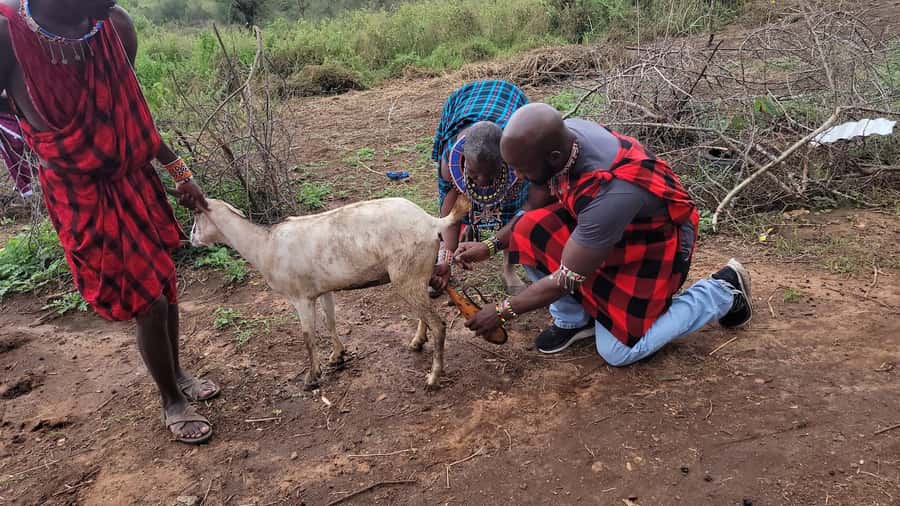 Masai Village Experience (Day trip) - The 2.5-Hour Village Visit: What You’ll Actually Do
