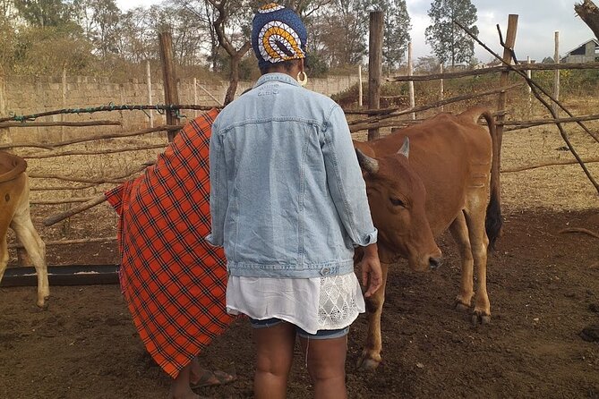 Masai village visit from Nairobi day tour - Price and Logistics: What You Pay, What You Don’t, and What You Should Budget For