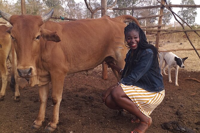 Masai village visit from Nairobi day tour - Should You Book the Nairobi Maasai Village Visit?