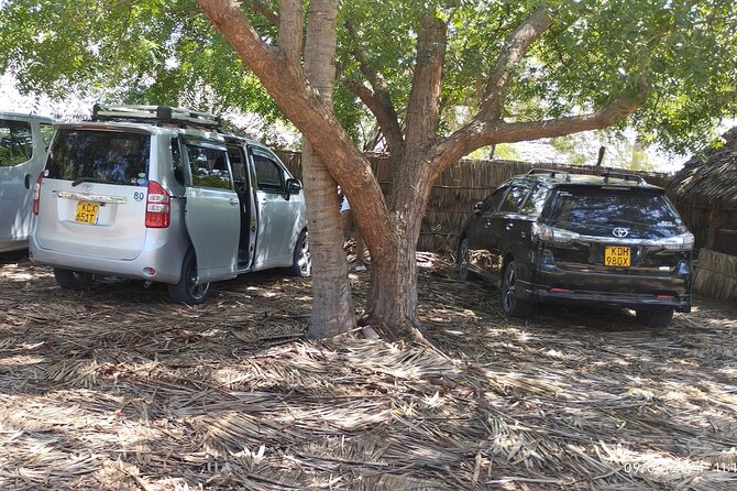 MIA - Airport Transfer from Mombasa to Watamu or Malindi - Arrival in Watamu or Malindi: private drop-off without extra stops
