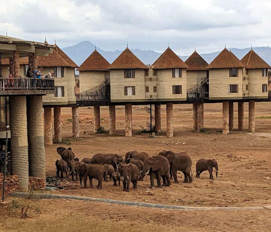 Mombasa: 2-Day Safari to Taita Hills Game Sanctuary - Why Taita Hills is the smart 2-day choice from Mombasa