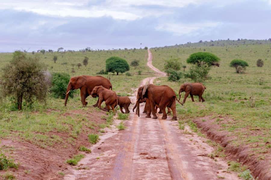 Mombasa: 2-Day Safari to Taita Hills Game Sanctuary - Who this tour suits best, and who should skip it