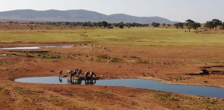 Mombasa: 2-Day Safari to Taita Hills Game Sanctuary - Tips that will help you enjoy it more