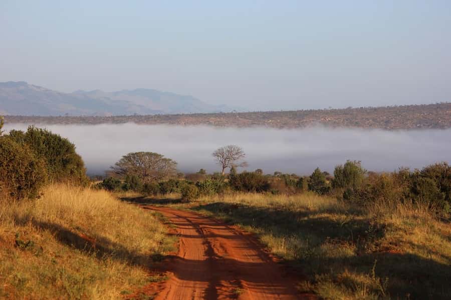 Mombasa: 3-Days 2-Nights Tsavo East and West Private Safari. - Day 3, One More Early Drive in Tsavo East Before You Head Back to the Coast