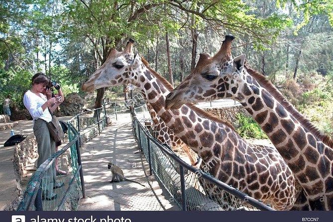 Mombasa city tour, Fort Jesus and Haller Park - Who should book this tour, and who might want a tweak
