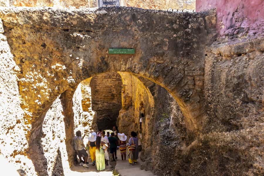 Mombasa City Tour: Fort Jesus Museum, Old Town & Haller Park - The guides and drivers: what makes the experience feel smooth
