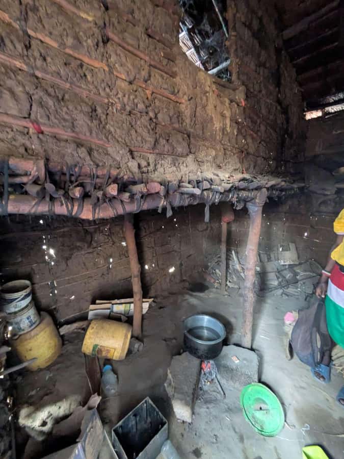 Mombasa Cultural & Wildlife Experience - Fresh coconut water and palm wine: the “taste the coast” stop