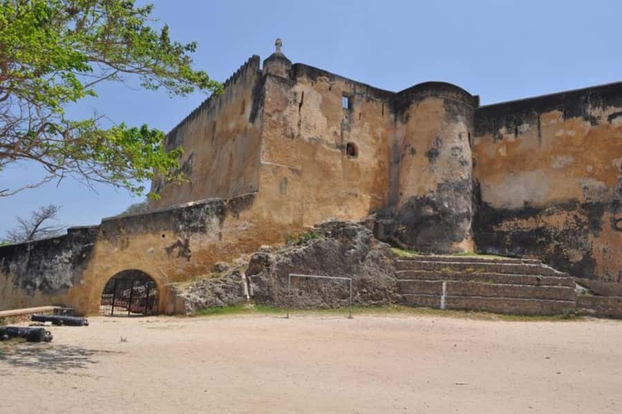 Mombasa: Discovery Day Tour and Haller Park - Lunch strategy during a full-day pace