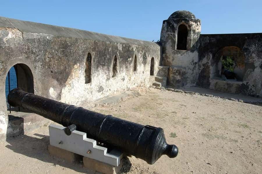 Mombasa: Discovery Day Tour and Haller Park - Haller Park: reforested quarry land and serious animal encounters