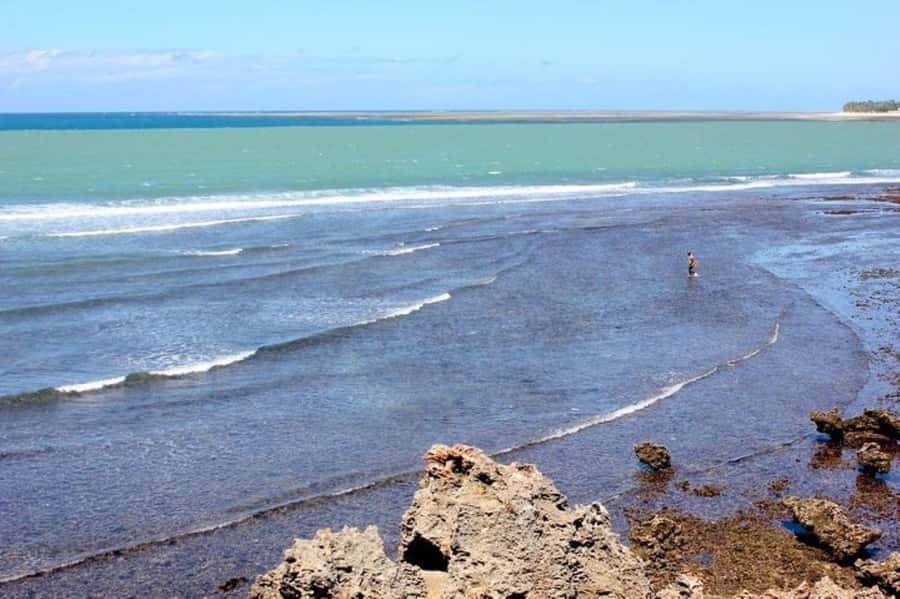 Mombasa: Discovery Day Tour and Haller Park - Who this tour suits best