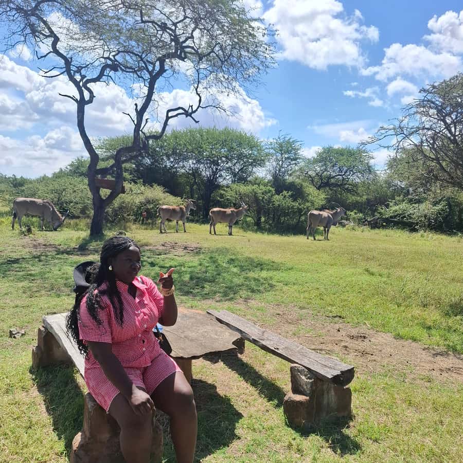 MOMBASA:FortJesus,OldCity,GiraffeOstrich,Oryx,Eland,WildTour - Fort Jesus and the Old Town streets, where Mombasa’s story shows up in real stone