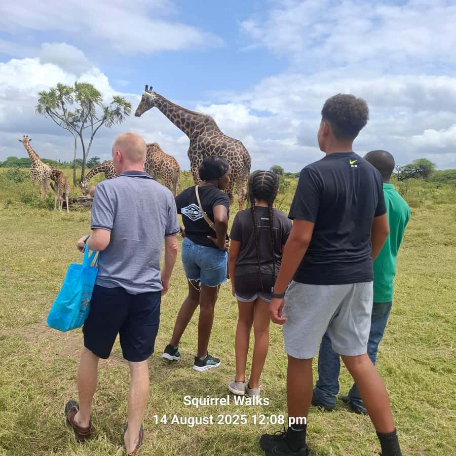 MOMBASA:FortJesus,OldCity,GiraffeOstrich,Oryx,Eland,WildTour - Old Town Mombasa, cobbled lanes, mosques, and markets that teach you how people live