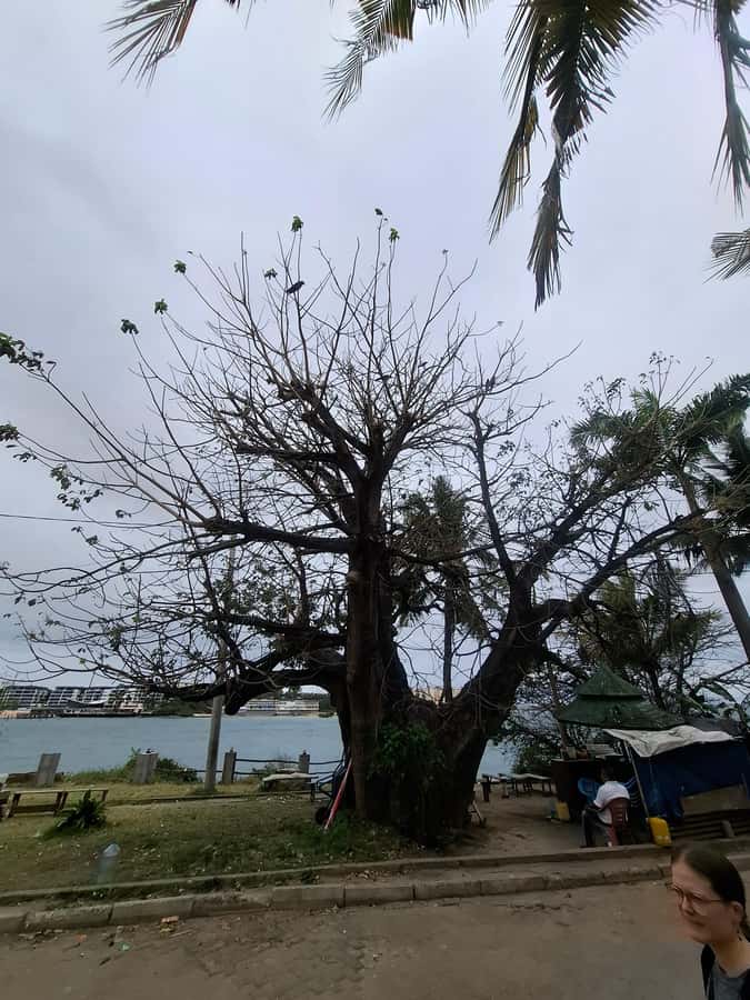 MOMBASA:FortJesus,OldTown,SpiceMarket, Shiva Temple DayTour. - John David Mwangi Irungu’s guiding style, and why it affects your day