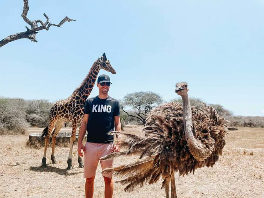 Mombasa: Guided Nature Walk Amongst Giraffes - Nguuni Nature Sanctuary: The Animal Haven Worth the Detour