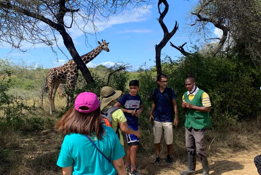 Mombasa: Guided Nature Walk Amongst Giraffes - Conservation Lessons You Can Actually Use