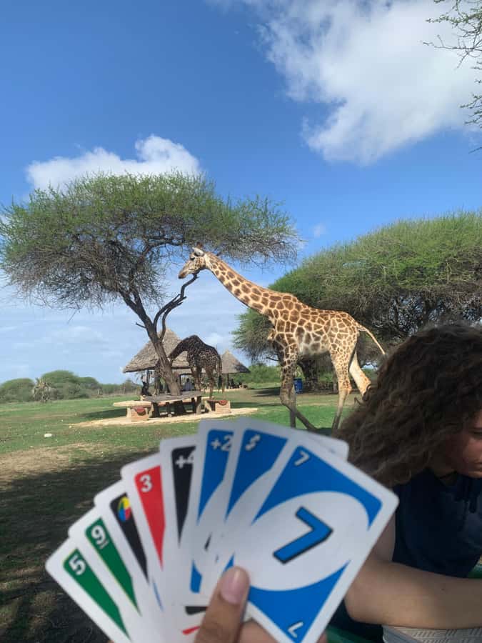 Mombasa: Guided Nature Walk Amongst Giraffes - Price and Value: Is $38 a Fair Deal?