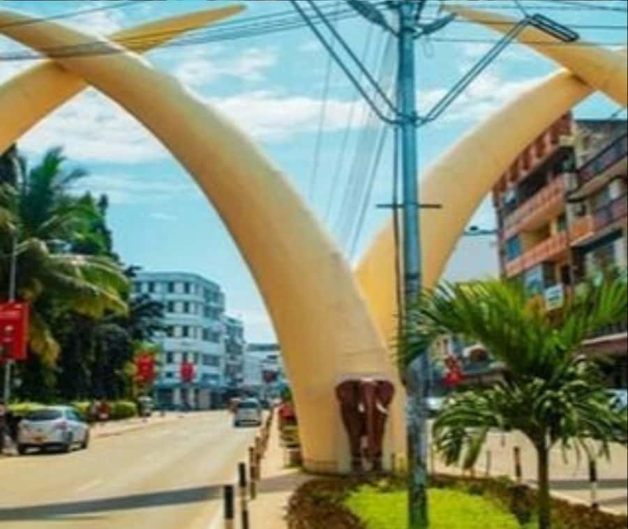 Mombasa: Historical Guided city tour. Old town, Fort Jesus - Who this tour suits best in Mombasa