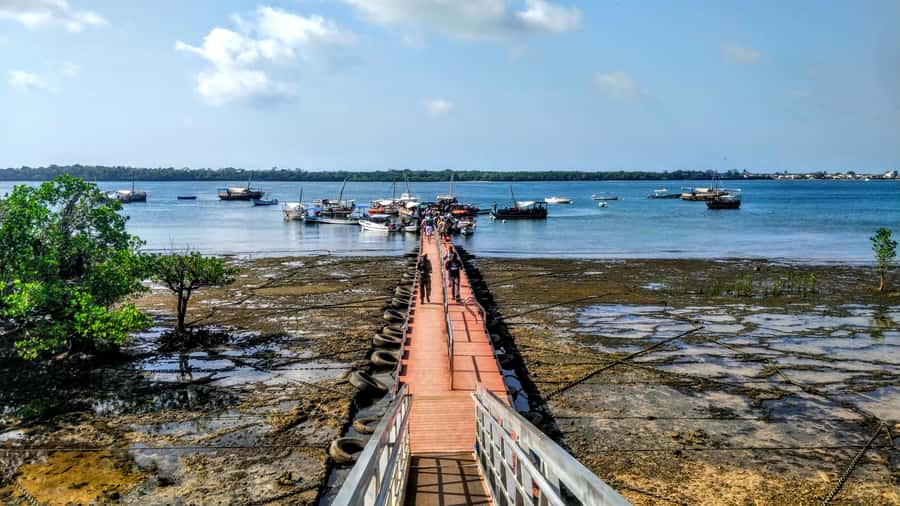 Mombasa: Kisite Park Private Cruise with Breakfast and Lunch - Key highlights you will care about