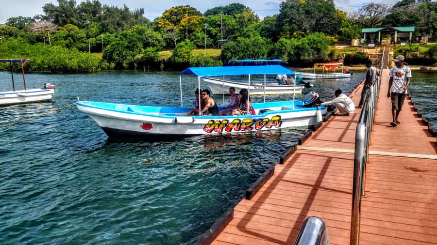 Mombasa: Kisite Park Private Cruise with Breakfast and Lunch - The morning start: hotel pickup, the road views, and on-board breakfast