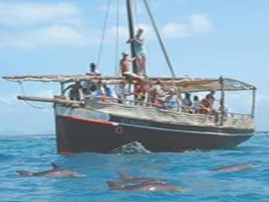 Mombasa: Snorkeling, Dolphin watching, seafood lunch. - Snorkeling at Kisite Mpunguti Marine Park, what the guide helps you do