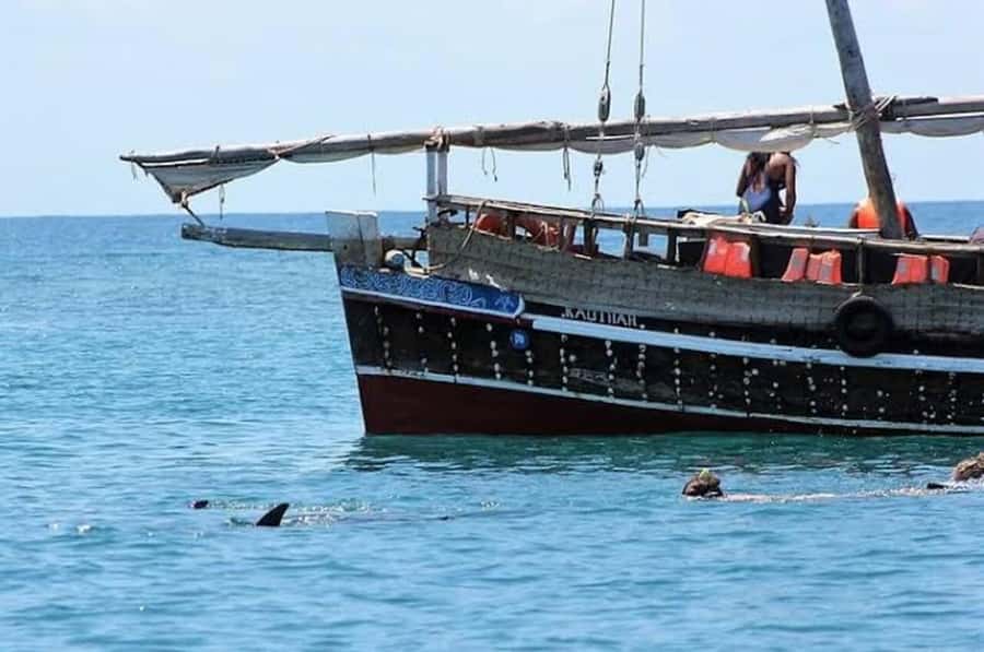 Mombasa: Snorkeling, Dolphin watching, seafood lunch. - KWS check-in and the sailing part, where dolphins show up