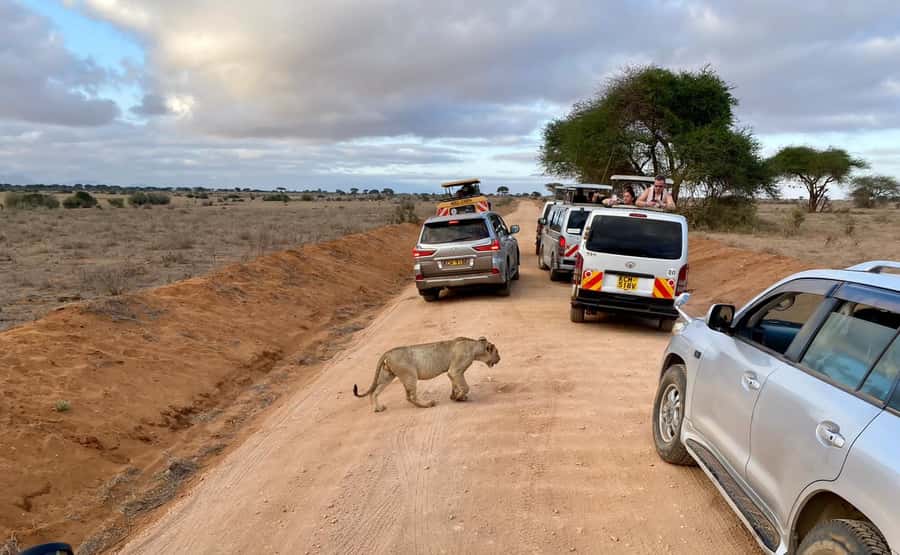 Mombasa: Tsavo East Ngutuni Sanctuary Overnight Safari - The Ngutuni Safari Lodge waterhole view, and why you should care