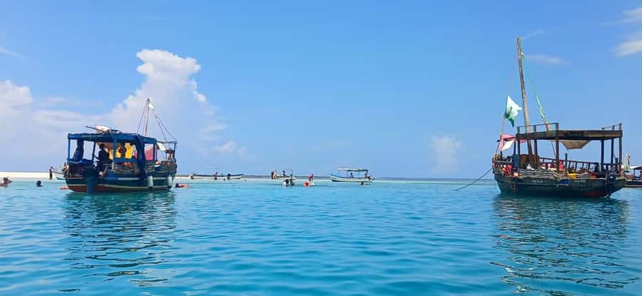 Mombasa: Wasini Dolphin Tour - Getting from Mombasa or Diani to Shimoni Jetty without stress