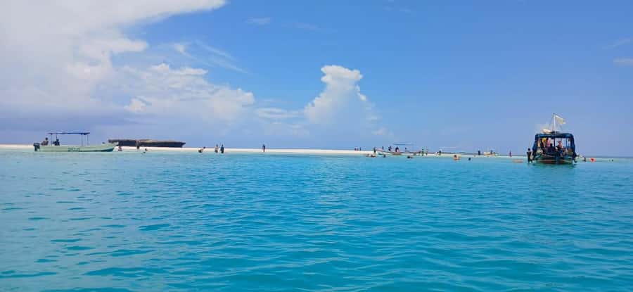 Mombasa: Wasini Dolphin Tour - Kisite-Mpunguti Marine Park: snorkeling over coral and marine life